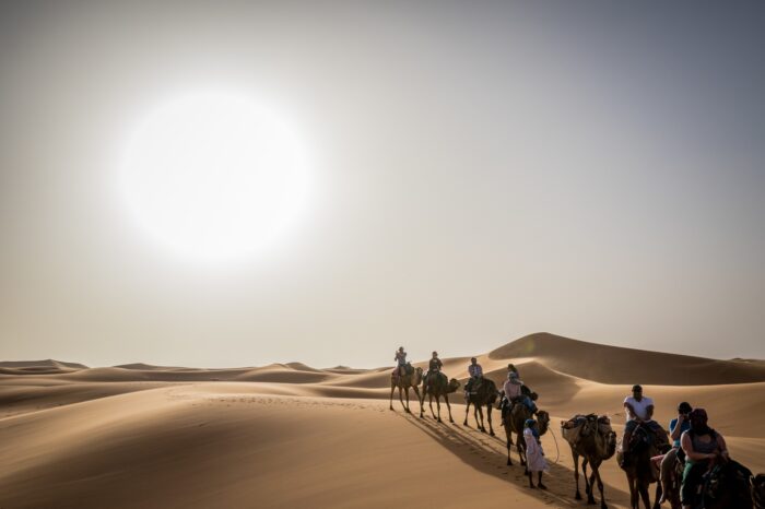 8 Days Desert Tour From Casablanca