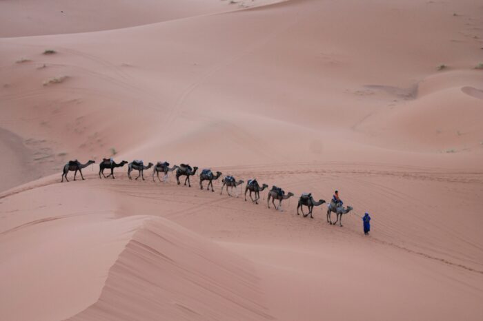 8 Days Desert Tour From Casablanca